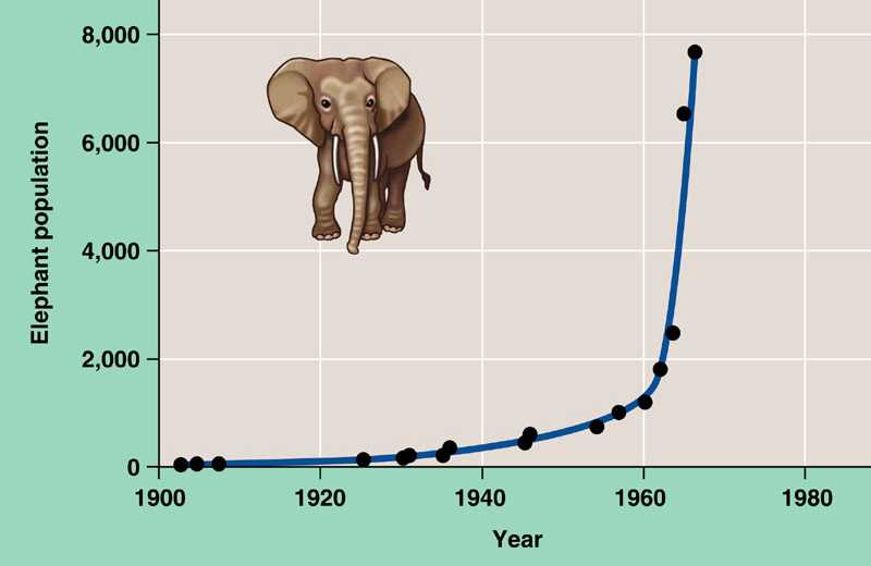 exponential.html 52_10ExponGrowthElephant.jpg