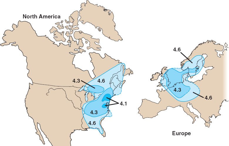 what-all-does-acid-precipitation-affect-effects-of-acid-precipitation-on-fish-and-fish-eggs