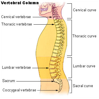 302 405